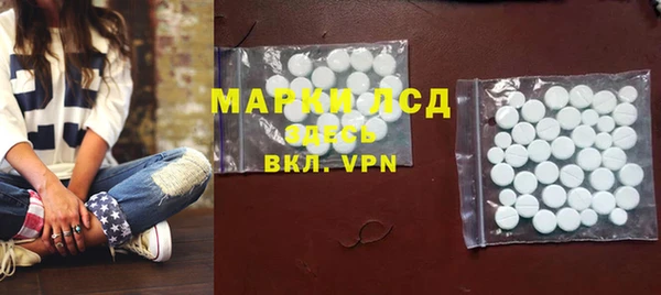 spice Осинники