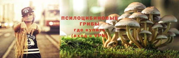 spice Осинники