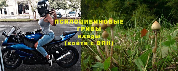 spice Осинники