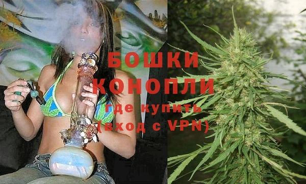 spice Осинники