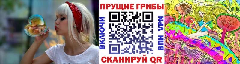купить наркотики сайты  Ряжск  Галлюциногенные грибы Psilocybe 